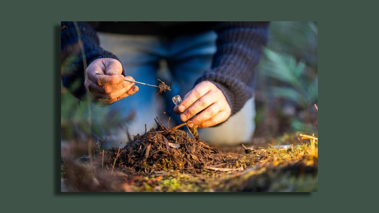 Agricultura regenerativa cultivar suelo mirada puesta sostenibilidad