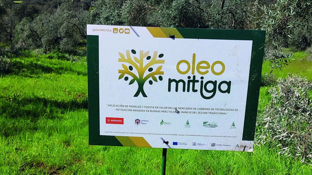 El Grupo Operativo OleoMitiga avanza mapa carbono orgánico Andalucía gracias teledetección inteligencia artificial