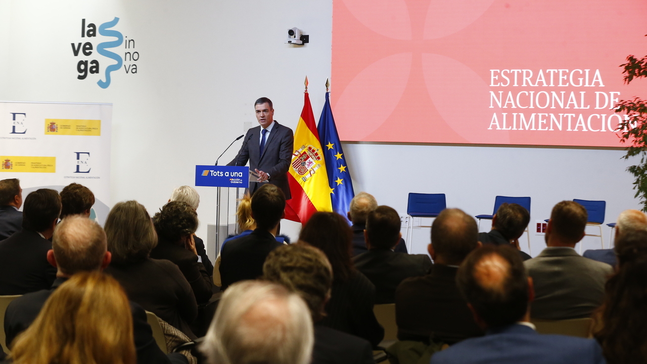 Pedro Sanchez presenta ENA hoja ruta impulsar influencia sector Europa